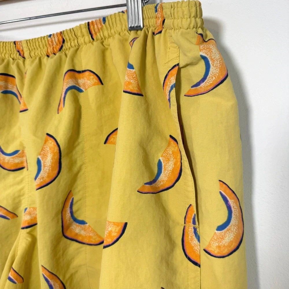 Patagonia baggies shorts